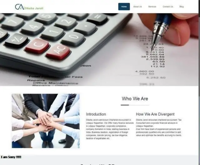 Chartered Accountant in Udaipur