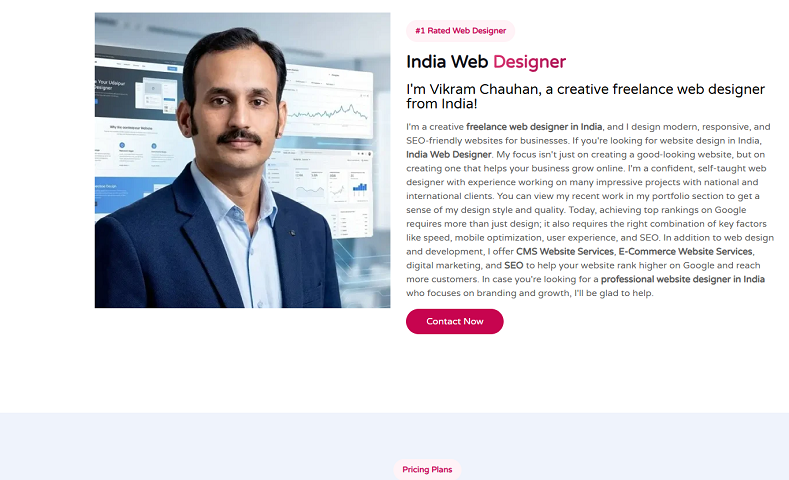india web designer (2)